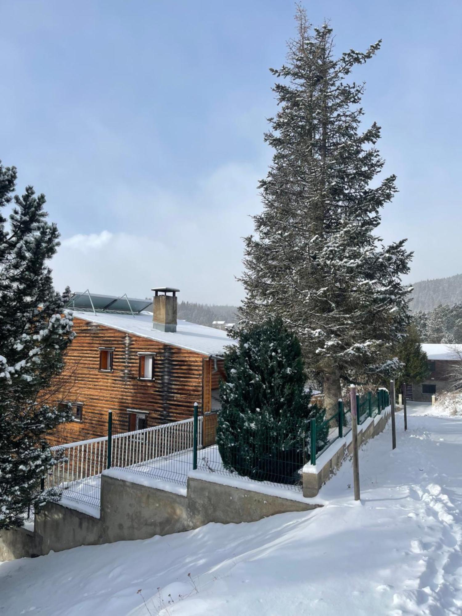Chalet Isard Pyrenees 2000 - 300M Des Pistes Bolquere ภายนอก รูปภาพ